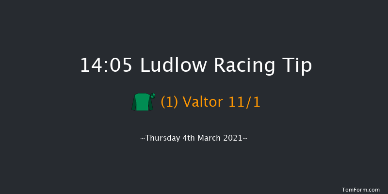 Forbra Gold Cup Handicap Chase Ludlow 14:05 Handicap Chase (Class 3) 24f Wed 24th Feb 2021