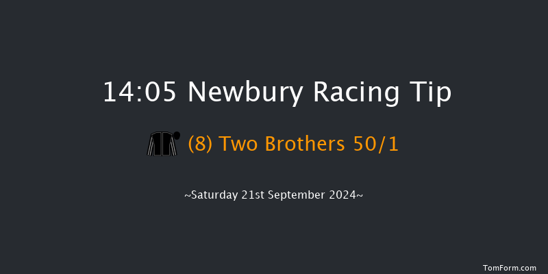 Newbury  14:05 Handicap (Class 2) 13f Fri 20th Sep 2024