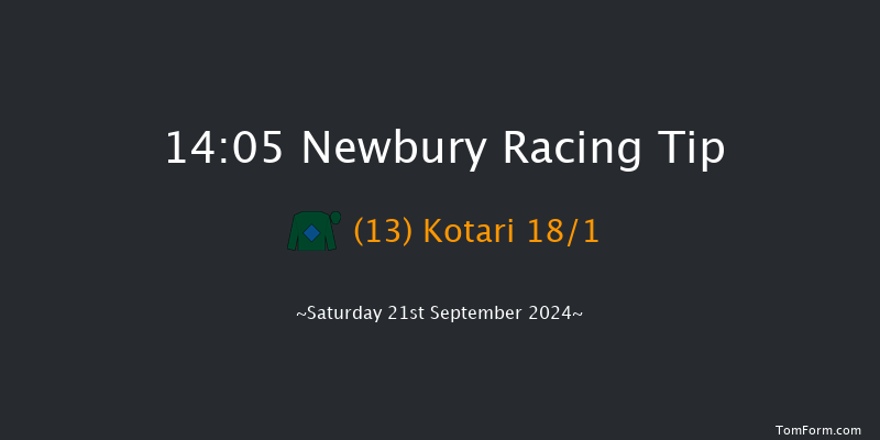 Newbury  14:05 Handicap (Class 2) 13f Fri 20th Sep 2024