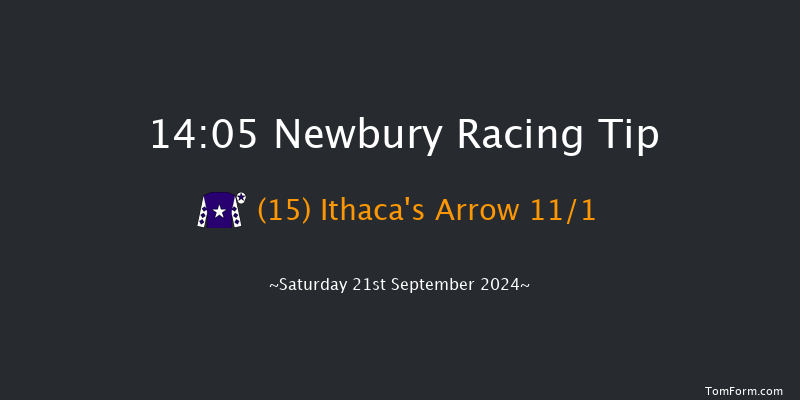 Newbury  14:05 Handicap (Class 2) 13f Fri 20th Sep 2024