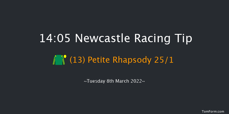 Newcastle 14:05 Handicap Hurdle (Class 5) 20f Fri 4th Mar 2022