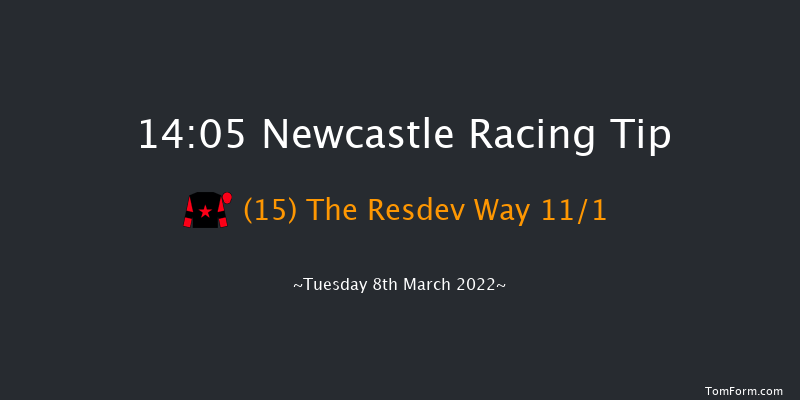 Newcastle 14:05 Handicap Hurdle (Class 5) 20f Fri 4th Mar 2022