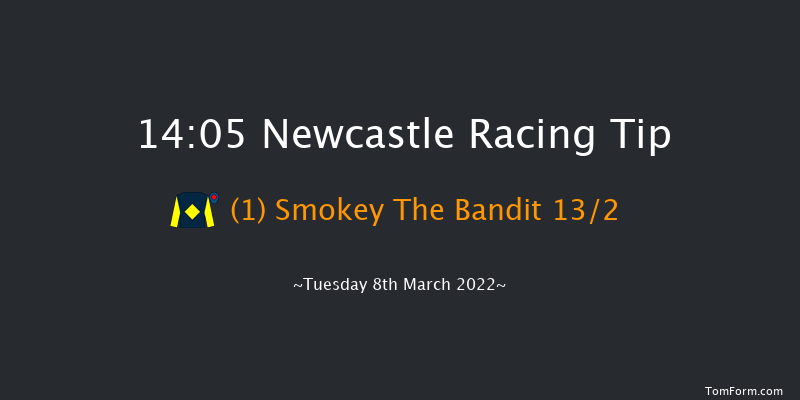 Newcastle 14:05 Handicap Hurdle (Class 5) 20f Fri 4th Mar 2022