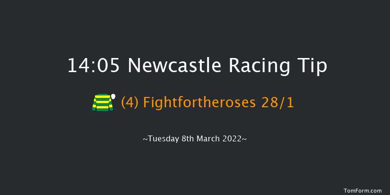 Newcastle 14:05 Handicap Hurdle (Class 5) 20f Fri 4th Mar 2022