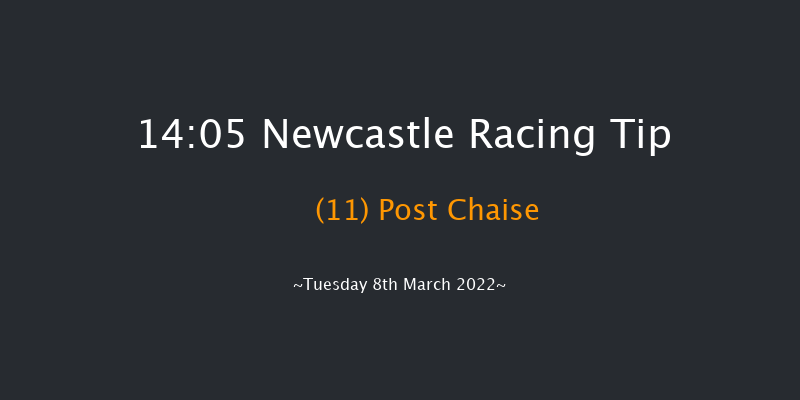 Newcastle 14:05 Handicap Hurdle (Class 5) 20f Fri 4th Mar 2022