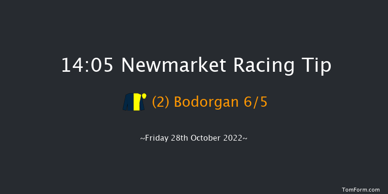 Newmarket 14:05 Stakes (Class 4) 7f Wed 19th Oct 2022