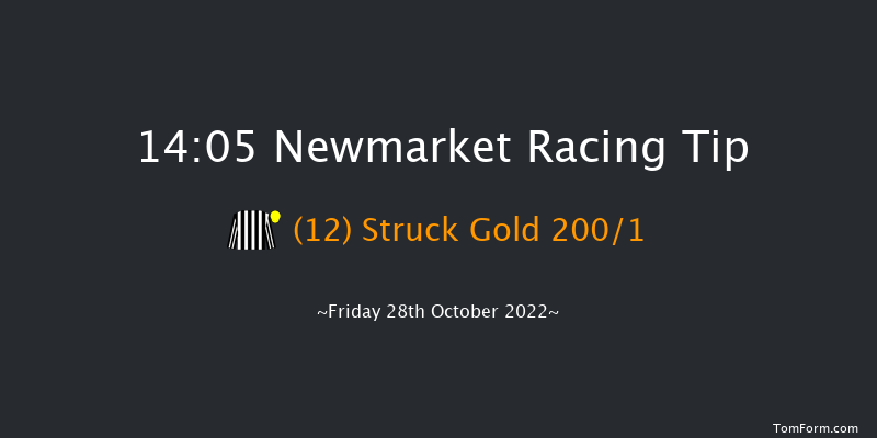 Newmarket 14:05 Stakes (Class 4) 7f Wed 19th Oct 2022