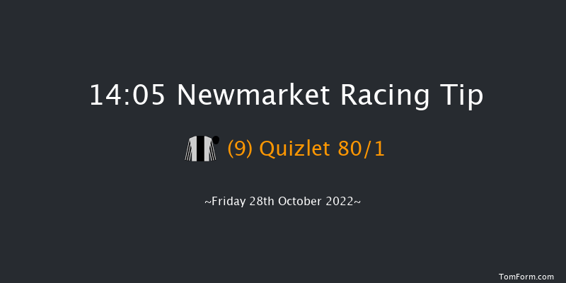 Newmarket 14:05 Stakes (Class 4) 7f Wed 19th Oct 2022