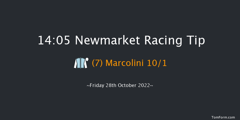 Newmarket 14:05 Stakes (Class 4) 7f Wed 19th Oct 2022