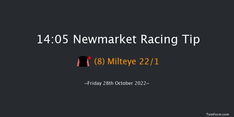 Newmarket 14:05 Stakes (Class 4) 7f Wed 19th Oct 2022