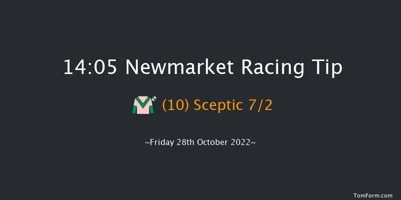 Newmarket 14:05 Stakes (Class 4) 7f Wed 19th Oct 2022