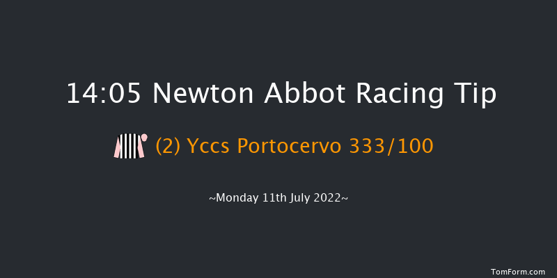 Newton Abbot 14:05 Handicap Chase (Class 4) 21f Fri 1st Jul 2022