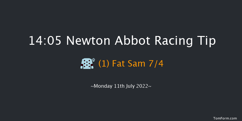 Newton Abbot 14:05 Handicap Chase (Class 4) 21f Fri 1st Jul 2022