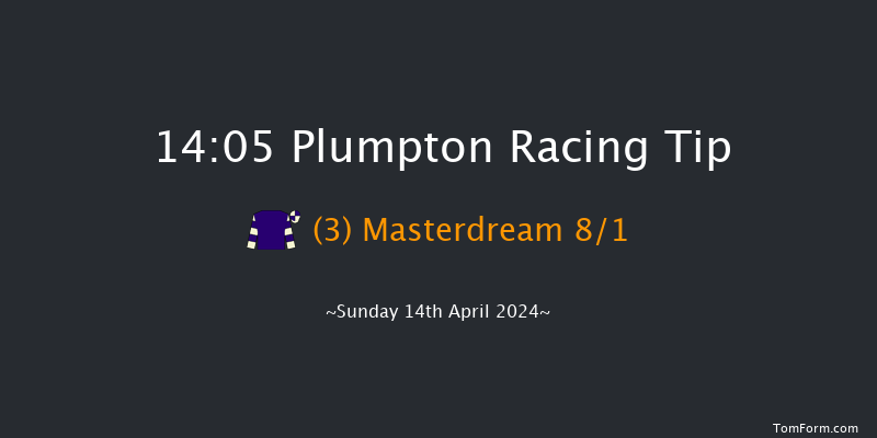 Plumpton  14:05 Handicap Hurdle (Class 5)
25f Mon 1st Apr 2024