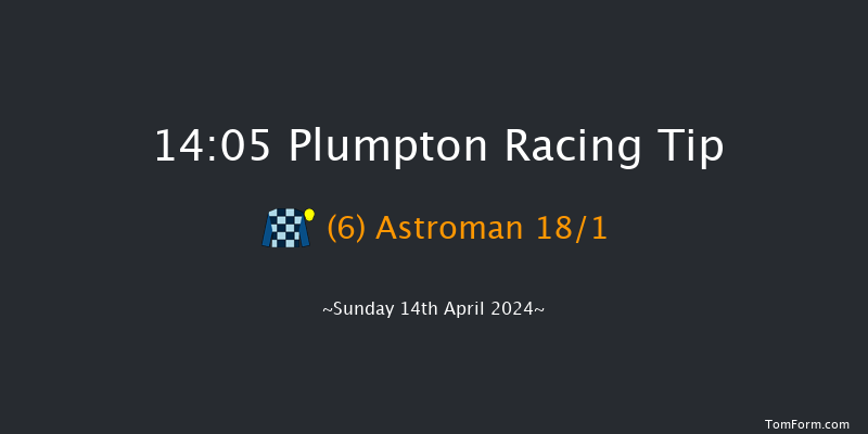 Plumpton  14:05 Handicap Hurdle (Class 5)
25f Mon 1st Apr 2024