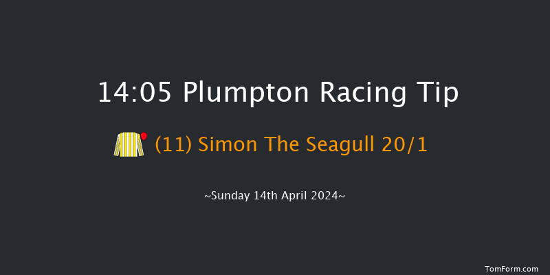 Plumpton  14:05 Handicap Hurdle (Class 5)
25f Mon 1st Apr 2024