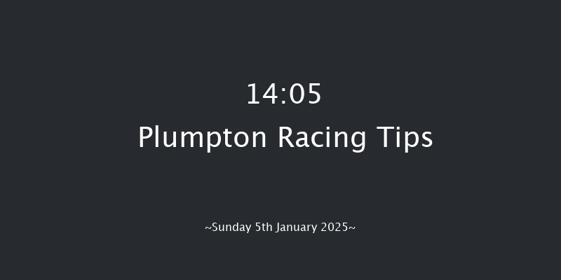 Plumpton  14:05 Handicap Hurdle (Class 2) 25f Mon 16th Dec 2024