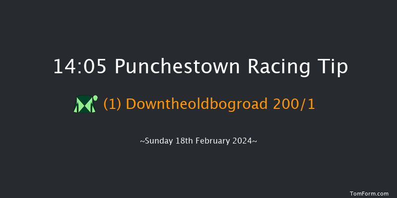 Punchestown  14:05 Maiden Chase 23f Mon 5th Feb 2024