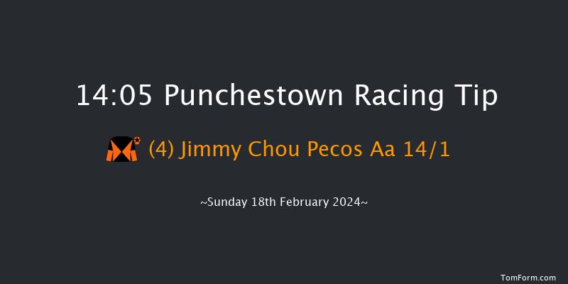 Punchestown  14:05 Maiden Chase 23f Mon 5th Feb 2024