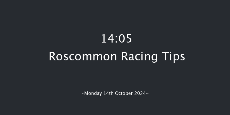 Roscommon  14:05 Handicap 8f Mon 30th Sep 2024