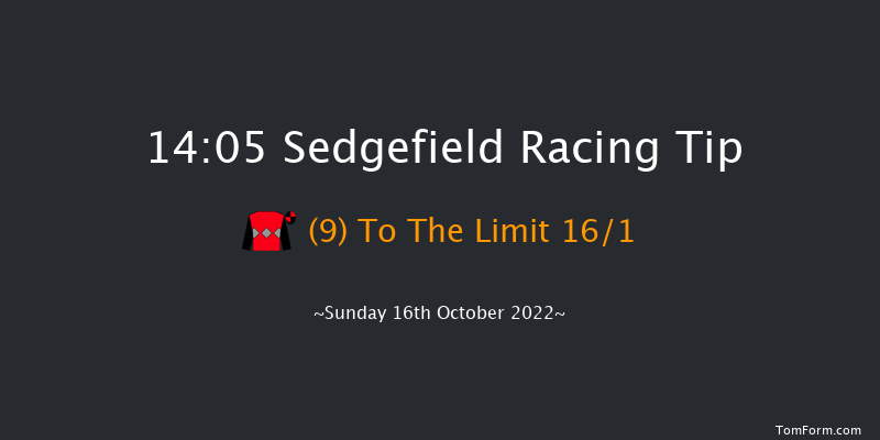 Sedgefield 14:05 Handicap Chase (Class 5) 21f Wed 5th Oct 2022