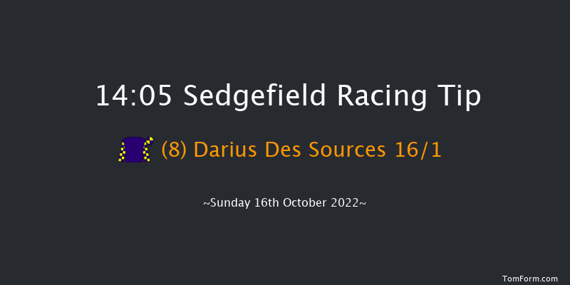 Sedgefield 14:05 Handicap Chase (Class 5) 21f Wed 5th Oct 2022