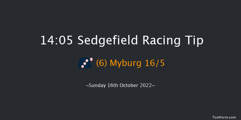 Sedgefield 14:05 Handicap Chase (Class 5) 21f Wed 5th Oct 2022