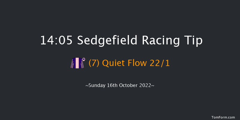 Sedgefield 14:05 Handicap Chase (Class 5) 21f Wed 5th Oct 2022