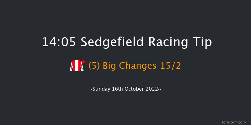 Sedgefield 14:05 Handicap Chase (Class 5) 21f Wed 5th Oct 2022