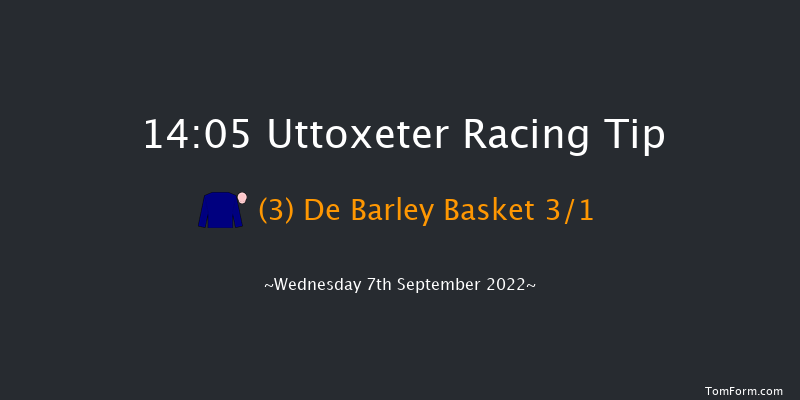 Uttoxeter 14:05 Handicap Chase (Class 4) 20f Sun 24th Jul 2022