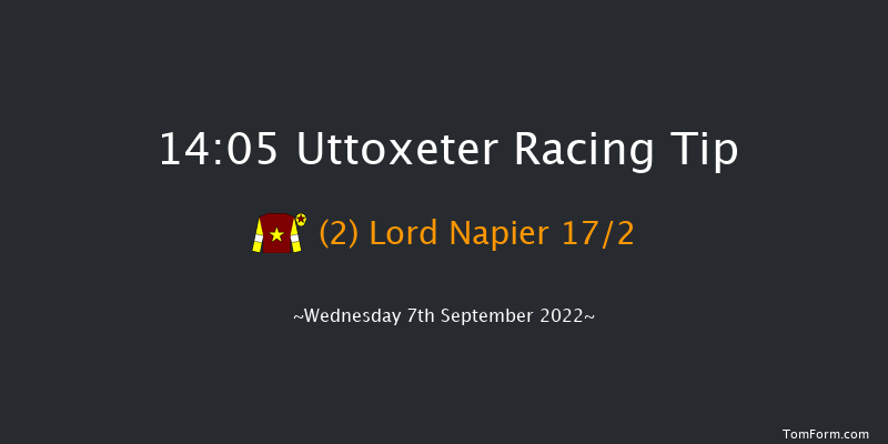 Uttoxeter 14:05 Handicap Chase (Class 4) 20f Sun 24th Jul 2022