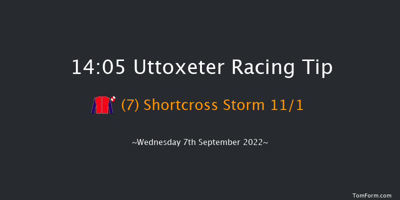 Uttoxeter 14:05 Handicap Chase (Class 4) 20f Sun 24th Jul 2022