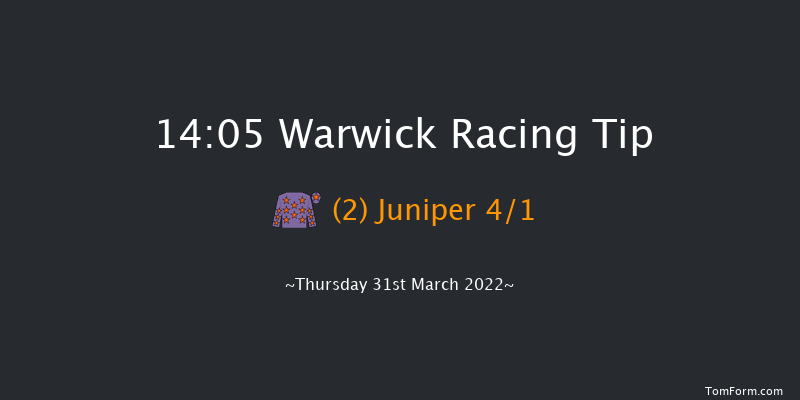 Warwick 14:05 Handicap Chase (Class 5) 24f Sun 13th Mar 2022