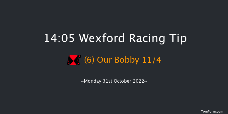 Wexford 14:05 Handicap Hurdle 16f Sun 30th Oct 2022