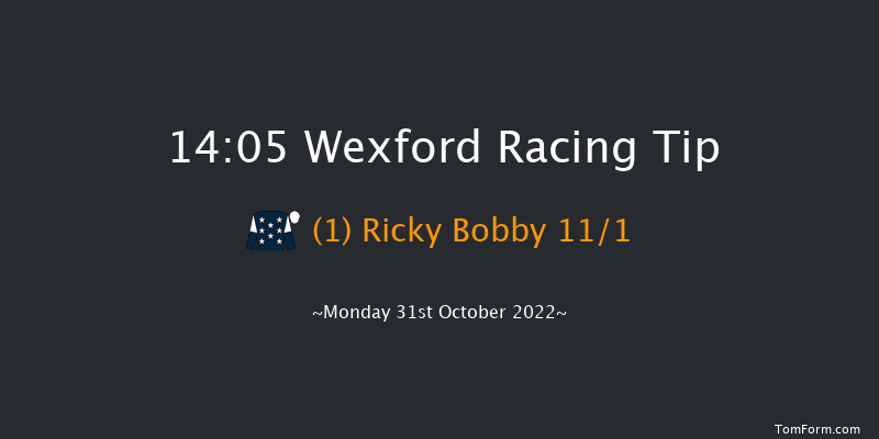 Wexford 14:05 Handicap Hurdle 16f Sun 30th Oct 2022