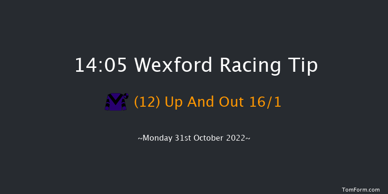 Wexford 14:05 Handicap Hurdle 16f Sun 30th Oct 2022