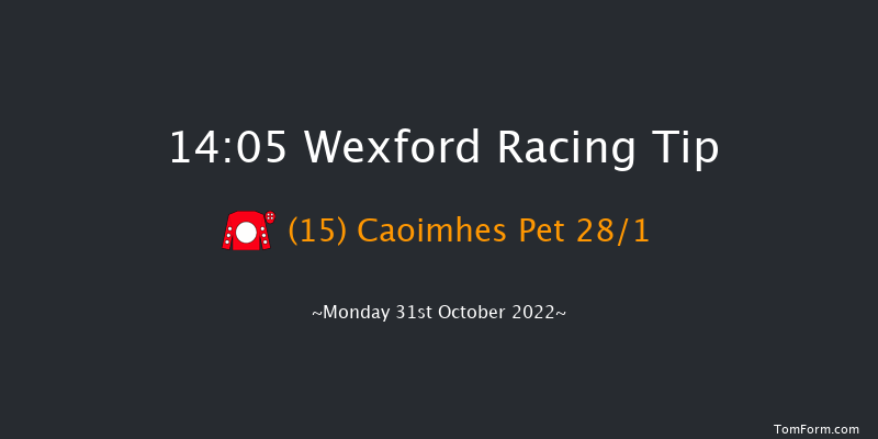 Wexford 14:05 Handicap Hurdle 16f Sun 30th Oct 2022