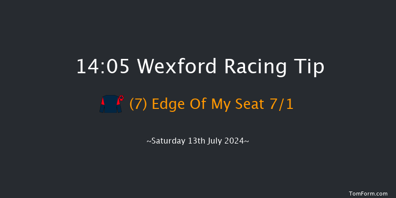 Wexford  14:05 Handicap Hurdle 17f Wed 29th May 2024