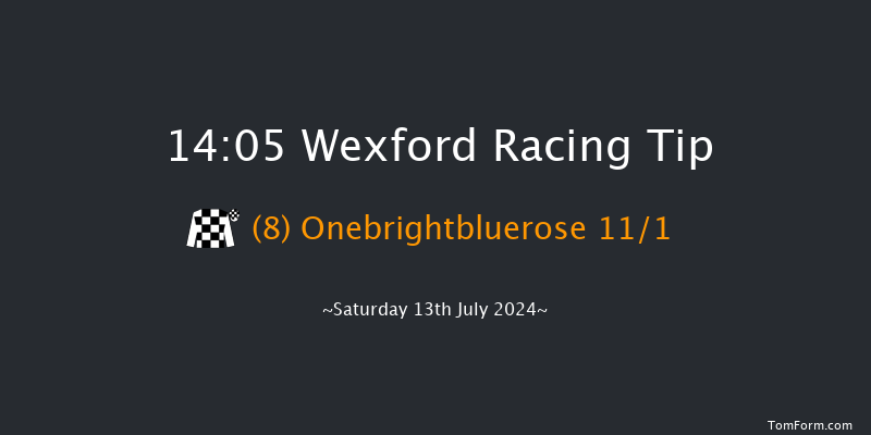 Wexford  14:05 Handicap Hurdle 17f Wed 29th May 2024