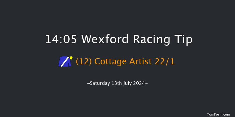 Wexford  14:05 Handicap Hurdle 17f Wed 29th May 2024