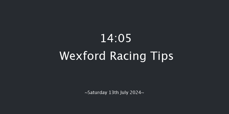 Wexford  14:05 Handicap Hurdle 17f Wed 29th May 2024