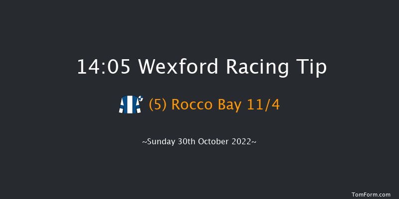 Wexford 14:05 Conditions Hurdle 21f Sat 3rd Sep 2022