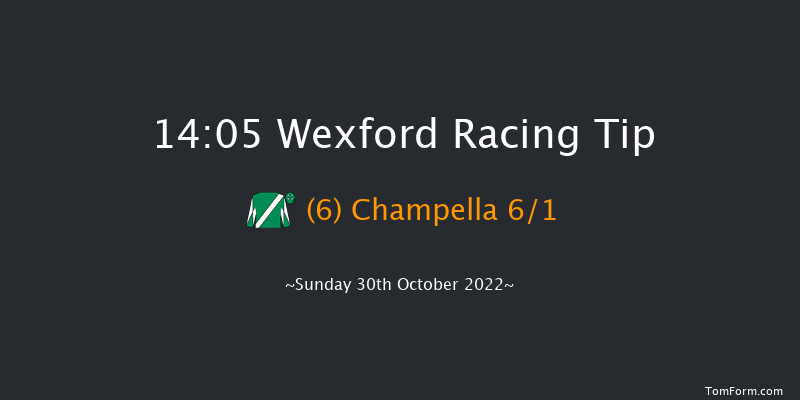 Wexford 14:05 Conditions Hurdle 21f Sat 3rd Sep 2022