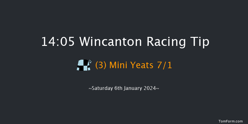 Wincanton 14:05 Handicap Hurdle (Class 5) 15f Tue 26th Dec 2023