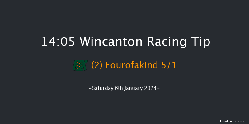 Wincanton 14:05 Handicap Hurdle (Class 5) 15f Tue 26th Dec 2023