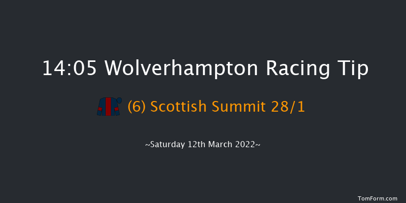 Wolverhampton 14:05 Handicap (Class 2) 9f Fri 11th Mar 2022