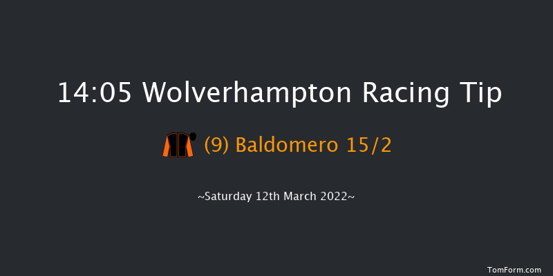 Wolverhampton 14:05 Handicap (Class 2) 9f Fri 11th Mar 2022