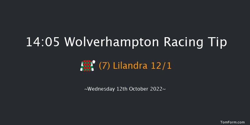 Wolverhampton 14:05 Handicap (Class 5) 9f Mon 10th Oct 2022