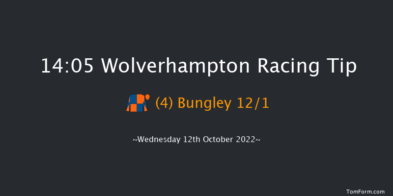 Wolverhampton 14:05 Handicap (Class 5) 9f Mon 10th Oct 2022