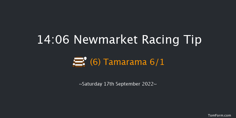 Newmarket 14:06 Handicap (Class 3) 8f Sat 27th Aug 2022